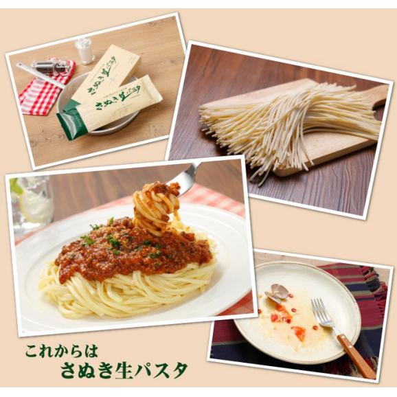 【送料無料】さぬき生パスタ（スパゲッティ）6食分 250g×3袋 セット 生パスタ 本場讃岐うどん製法06
