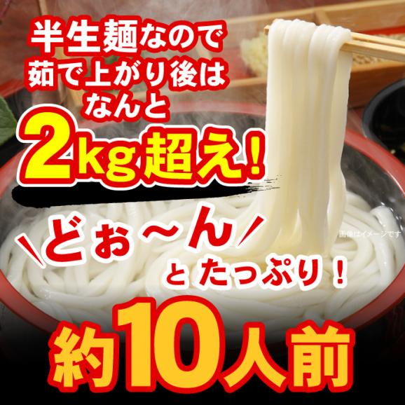 極太麺バージョン【訳あり】半生極太讃岐うどん950g 約10人前 規格外ですが味は本場さぬきうどん 送料無料 ポスト投函便での配送(代金引換-後払い不可・着日指定不可)03