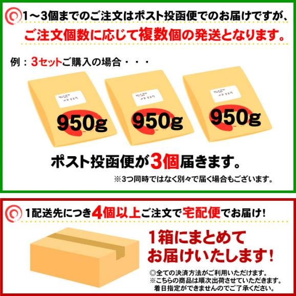 極太麺バージョン【訳あり】半生極太讃岐うどん950g 約10人前 規格外ですが味は本場さぬきうどん 送料無料 ポスト投函便での配送(代金引換-後払い不可・着日指定不可)05