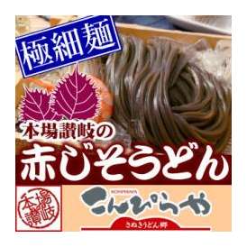 本場讃岐の包丁極細切り半生『赤じそうどん』2人前【送料無料】ポスト投函便での配送(代金引換-後払い不可・着日指定不可)