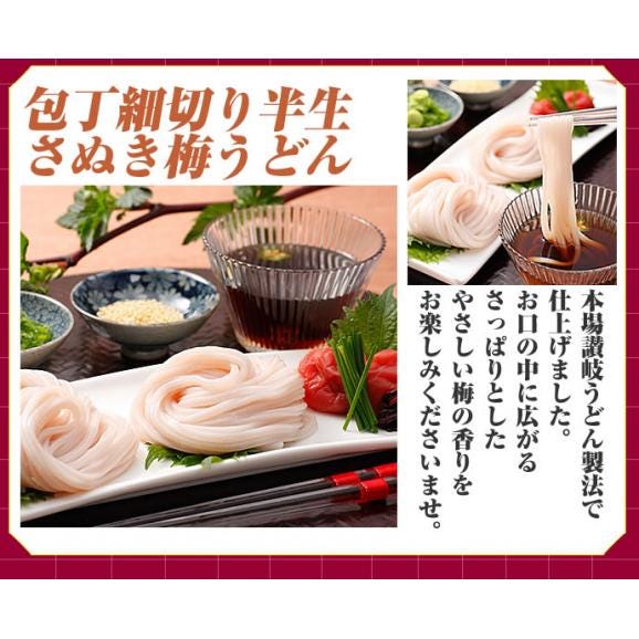 本場讃岐の包丁細切り半生『梅うどん』4袋（8人前）【送料無料】ポスト投函便での配送(代金引換-後払い不可・着日指定不可)02