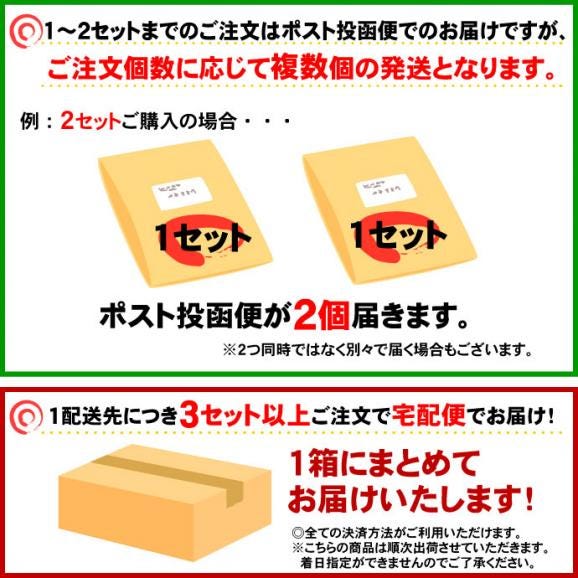 本場讃岐の包丁細切り半生『梅うどん』4袋（8人前）【送料無料】ポスト投函便での配送(代金引換-後払い不可・着日指定不可)03