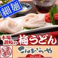 本場讃岐の包丁細切り半生『梅うどん』4袋（8人前）【送料無料】ポスト投函便での配送(代金引換-後払い不可・着日指定不可)