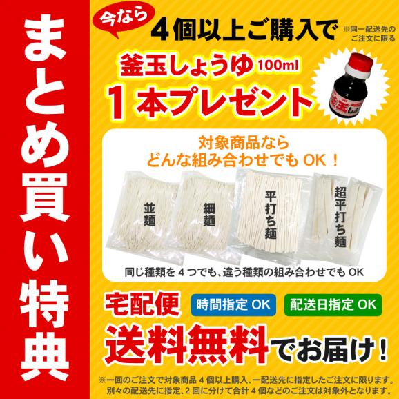 訳あり 本場讃岐の包丁細切り讃岐うどん900g 送料無料 ポスト投函便での配送(代金引換-後払い不可・着日指定不可)05