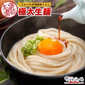 本場讃岐うどん 極太生麺 950g 熟練の技！手間と愛情をたっぷりかけた極上麺 しかも【送料無料】ポスト投函便での配送※到着後要冷蔵
