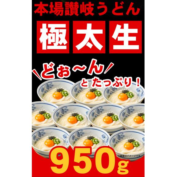 本場讃岐うどん 極太生麺 950g 熟練の技！手間と愛情をたっぷりかけた極上麺 しかも【送料無料】ポスト投函便での配送※到着後要冷蔵02