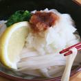 【送料無料】本場讃岐うどん　平打ち麺　1kg　(代金引換-後払い不可・着日指定不可)