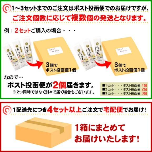 1000円ポッキリ 送料無料 うどん 乾麺 250g×3袋 セット 三重県産小麦100% あやひかり 使用 うどん 長期保存 食品 ポスト投函便での配送(代金引換-後払い不可・着日指定不可)05