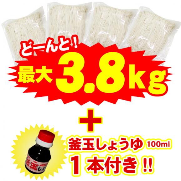 選べる本場讃岐うどんセット 最大3.8kg+釜玉しょうゆ100ml付き 送料無料 讃岐うどん セット うどん 並麺 太麺 細麺 平打ち麺 超平打ち麺 生パスタ 選べるお得なセット05