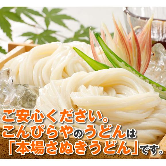 本場さぬきうどん「讃岐麺維新」6人前 240g×3袋 セット つゆ無し 送料無料 讃岐うどん お試し うどん 半生 並麺 ポスト投函便での配送(代引後払い不可・着日指定不可)04
