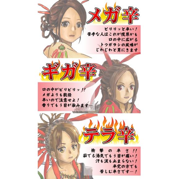 激辛 うどん 唐辛子うどん 讃岐REDHOT「火雷伝」3袋セット 合計6人前 メガ辛 ギガ辛 テラ辛 食べ比べ ポスト投函便での配送06