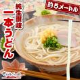 太く！長く！全長なんと約５ｍ！本場讃岐の一本うどん！(1人前120g) 数量限定 クール便で配送