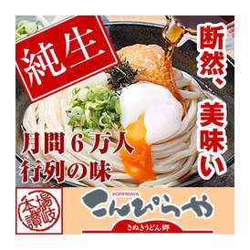 さぬきうどん これぞ讃岐の真髄!!うちたて純生（8人前つゆ付き）