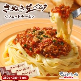 【送料無料】さぬき生パスタ （フェットチーネ）6食分 250g×3袋 セット 生パスタ 本場讃岐うどん製法