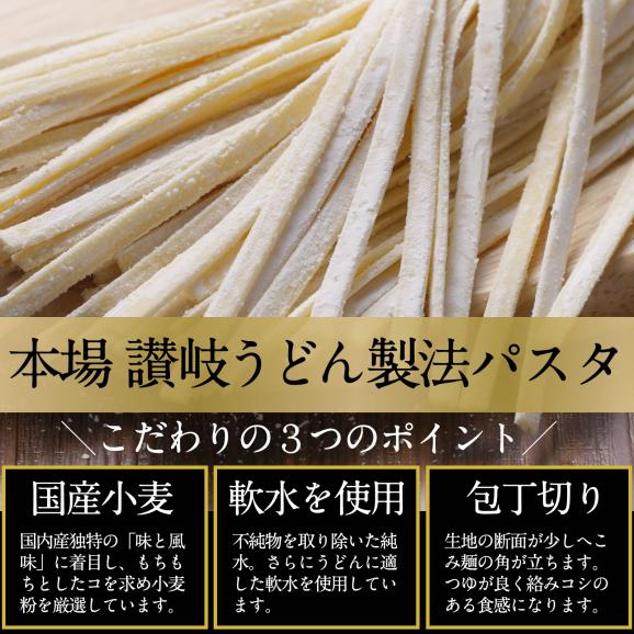 【送料無料】さぬき生パスタ （フェットチーネ）6食分 250g×3袋 セット 生パスタ 本場讃岐うどん製法02