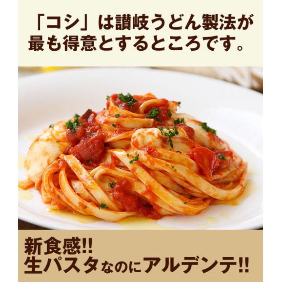 【送料無料】さぬき生パスタ （フェットチーネ）6食分 250g×3袋 セット 生パスタ 本場讃岐うどん製法04