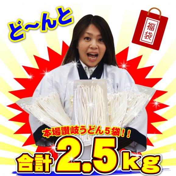 訳あり 半生讃岐うどん 500g&times;5袋 どぉ～んと合計2.5kg！ 送料無料 うどん セット 福袋 大容量 半生麺03