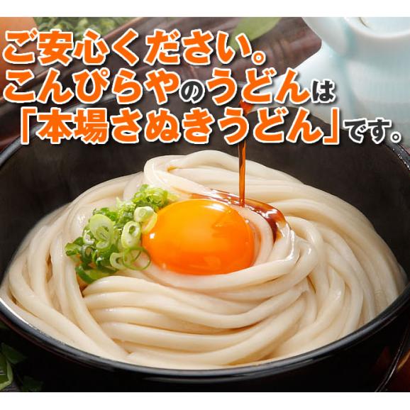 訳あり 半生讃岐うどん 500g&times;5袋 どぉ～んと合計2.5kg！ 送料無料 うどん セット 福袋 大容量 半生麺04