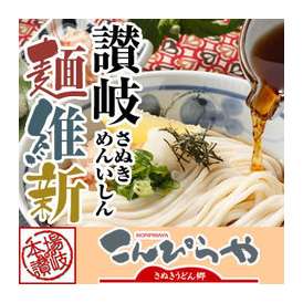 本場さぬきうどん「讃岐麺維新」（50人前）つゆ無し