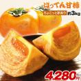 【送料無料】熊本県産  ちょこっと 訳あり ばってん甘柿(種なし)約3kg (16玉)  2L 柿 渋柿 甘柿 秋の味覚 かき フルーツ 果物 大容量 おうちカフェ 刀根柿 平核無柿 樹上脱渋