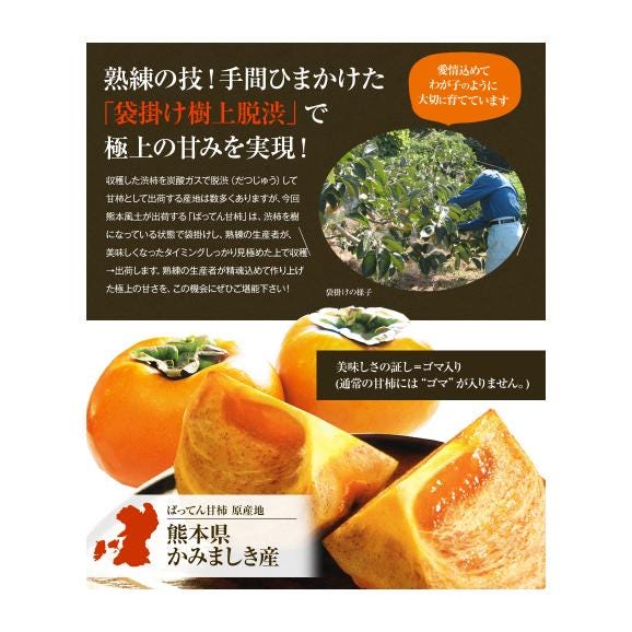 【送料無料】熊本県産  ちょこっと 訳あり ばってん甘柿（種なし）約3kg (16玉)  2L 柿 渋柿 甘柿 秋の味覚 かき フルーツ 果物　大容量 おうちカフェ 刀根柿 平核無柿 樹上脱渋 03