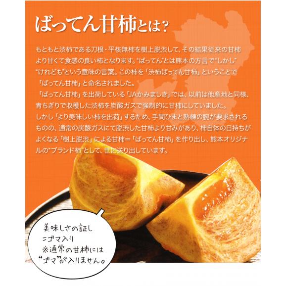 【送料無料】熊本県産  ちょこっと 訳あり ばってん甘柿（種なし）約3kg (16玉)  2L 柿 渋柿 甘柿 秋の味覚 かき フルーツ 果物　大容量 おうちカフェ 刀根柿 平核無柿 樹上脱渋 04