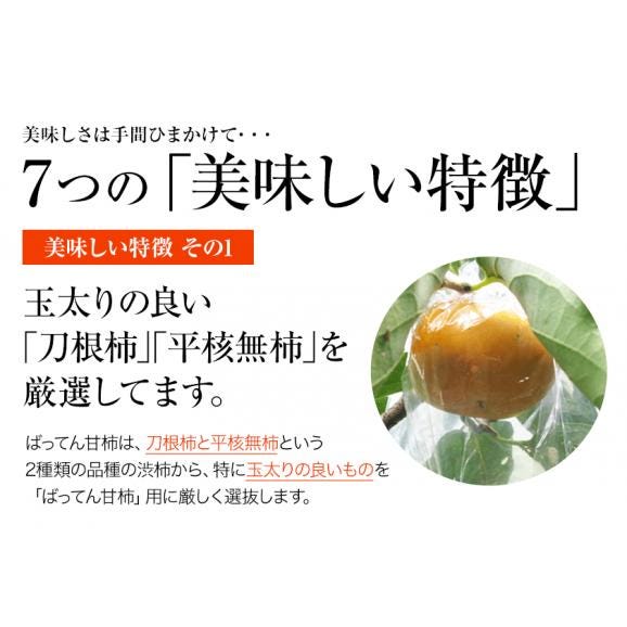 【送料無料】熊本県産  ちょこっと 訳あり ばってん甘柿（種なし）約3kg (16玉)  2L 柿 渋柿 甘柿 秋の味覚 かき フルーツ 果物　大容量 おうちカフェ 刀根柿 平核無柿 樹上脱渋 05