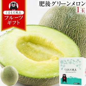 ギフト プレゼント 肥後グリーンメロン 1玉 秀品 2Lサイズ 熊本産 約1.2kg以上 高級 産地直送 送料無料 ギフト 贈答 フルーツギフト 高級 《3-7営業日以内に発送予定(土日祝除く)》
