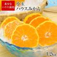 【★最大1000円OFFクーポン配布中★】熊本県産 小玉ハウスみかん 1.2kg 熊本 送料無料 2Sサイズ フルーツ 小玉 みかん《3-7営業日以内に出荷予定》