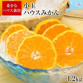 【★最大1000円OFFクーポン配布中★】熊本県産 小玉ハウスみかん 1.2kg 熊本 送料無料 2Sサイズ フルーツ 小玉 みかん《3-7営業日以内に出荷予定》