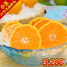 【★最大1000円OFFクーポン配布中★】熊本県産 小玉ハウスみかん 1.2kg 熊本 送料無料 2Sサイズ フルーツ 小玉 みかん《3-7営業日以内に出荷予定》