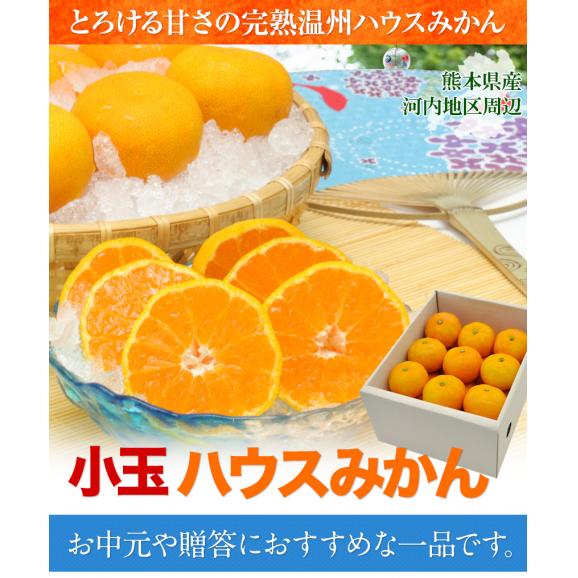 【★最大1000円OFFクーポン配布中★】熊本県産 小玉ハウスみかん 1.2kg 熊本 送料無料 2Sサイズ フルーツ 小玉 みかん《3-7営業日以内に出荷予定》02