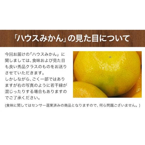 【★最大1000円OFFクーポン配布中★】熊本県産 小玉ハウスみかん 1.2kg 熊本 送料無料 2Sサイズ フルーツ 小玉 みかん《3-7営業日以内に出荷予定》04