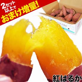 【お負け増量実施中！】訳あり 紅はるか 1.5kg 送料無料  熊本県産 芋 さつまいも 熟成   ※大中小サイズ混合(不選別 ) 焼き芋 さつま芋 熊本 《1-5営業日以内に発送予定（土日祝除く）》