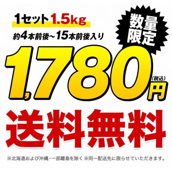 【おまけ増量実施中！】訳あり 紅はるか 1.5kg 送料無料  九州産 芋 さつまいも 熟成   ※大中小サイズ混合(不選別 ) 焼き芋 さつま芋 熊本 《11月上旬-11月下旬に発送予定（土日祝除く02