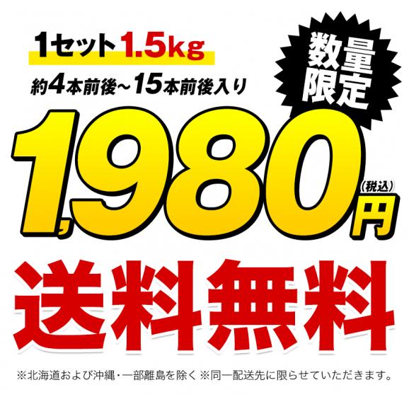 【おまけ増量実施中！】訳あり 紅はるか 1.5kg 送料無料  熊本県産 芋 さつまいも 熟成   ※大中小サイズ混合(不選別 ) 焼き芋 さつま芋 熊本 《1-5営業日以内に発送予定（土日祝除く）》02
