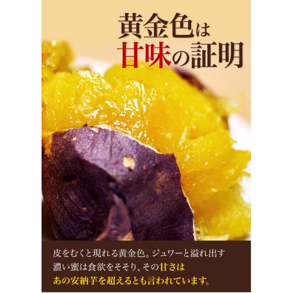 【おまけ増量実施中！】訳あり 紅はるか 1.5kg 送料無料  熊本県産 芋 さつまいも 熟成   ※大中小サイズ混合(不選別 ) 焼き芋 さつま芋 熊本 《1-5営業日以内に発送予定（土日祝除く）》04