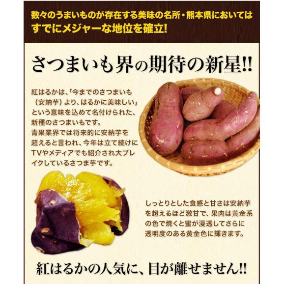 【おまけ増量実施中！】訳あり 紅はるか 1.5kg 送料無料  熊本県産 芋 さつまいも 熟成   ※大中小サイズ混合(不選別 ) 焼き芋 さつま芋 熊本 《1-5営業日以内に発送予定（土日祝除く）》05