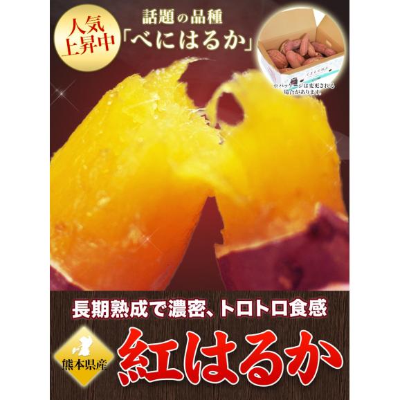 【おまけ増量実施中！】訳あり 紅はるか 1.5kg 送料無料  熊本県産 芋 さつまいも 熟成   ※大中小サイズ混合(不選別 ) 焼き芋 さつま芋 熊本 《1-5営業日以内に発送予定（土日祝除く）》06