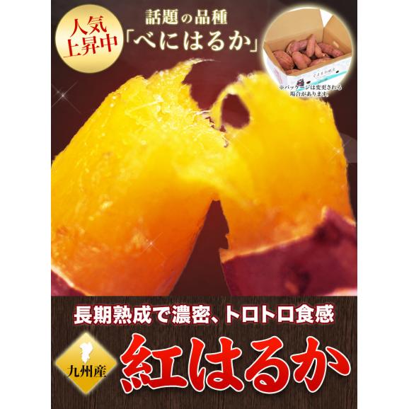 【おまけ増量実施中！】訳あり 紅はるか 1.5kg 送料無料  九州産 芋 さつまいも 熟成   ※大中小サイズ混合(不選別 ) 焼き芋 さつま芋 熊本 《11月上旬-11月下旬に発送予定（土日祝除く06