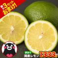 熊本産 レモン 訳あり 1.5kg 送料無料 国産 皮ごと 【2箱で1箱おまけ】防腐剤不使用 防カビ剤不使用 国内産 れもん サイズ不選別 フルーツ 檸檬 《9月中旬-9月末に出荷予定（土日祝除く)