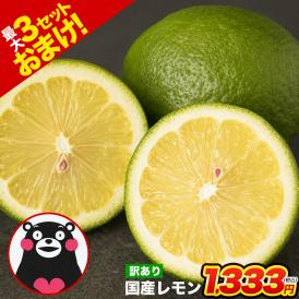 熊本産 レモン 訳あり 1.5kg 送料無料 国産 皮ごと 【2箱で1箱おまけ】防腐剤不使用 防カビ剤不使用 国内産 れもん サイズ不選別 フルーツ 檸檬 《9月中旬-9月末に出荷予定（土日祝除く)