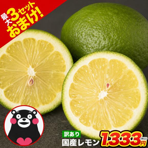 熊本産 レモン 訳あり 1.5kg 送料無料 国産 皮ごと 【2箱で1箱おまけ】防腐剤不使用 防カビ剤不使用 国内産 れもん サイズ不選別 フルーツ 檸檬 《9月中旬-9月末に出荷予定（土日祝除く)01