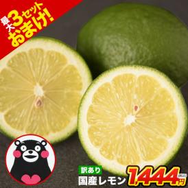 国産 レモン 訳あり 1.5kg 送料無料 【最大4.5kgおまけ増量】熊本県産 リスボンレモン グラントレモン サイズ不選別 フルーツ 檸檬 レモン水 レモンピール 【1-5営業日以内に発送予定】|