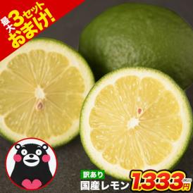 国産 レモン 訳あり 1.5kg 送料無料 【最大4.5kgおまけ増量】熊本県産 リスボンレモン グラントレモン サイズ不選別 フルーツ 檸檬 レモン水 レモンピール 【7-14営業日以内に配送予定】