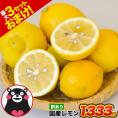 国産 レモン 訳あり 1.5kg 送料無料 【最大4.5kgおまけ増量】熊本県産 リスボンレモン グラントレモン サイズ不選別 フルーツ 檸檬 レモン水 レモンピール 《1-5営業日以内に出荷予定》