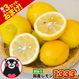 国産 レモン 訳あり 1.5kg 送料無料 【最大4.5kgおまけ増量】熊本県産 リスボンレモン グラントレモン サイズ不選別 フルーツ 檸檬 レモン水 レモンピール 《1-5営業日以内に出荷予定》