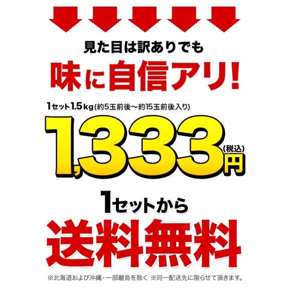 熊本産 レモン 訳あり 1.5kg 送料無料 国産 皮ごと 【2箱で1箱おまけ】防腐剤不使用 防カビ剤不使用 国内産 れもん サイズ不選別 フルーツ 檸檬 《9月中旬-9月末に出荷予定（土日祝除く)02