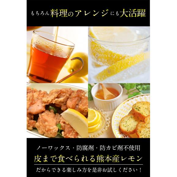 熊本産 レモン 訳あり 1.5kg 送料無料 国産 皮ごと 【2箱で1箱おまけ】防腐剤不使用 防カビ剤不使用 国内産 れもん サイズ不選別 フルーツ 檸檬 《9月中旬-9月末に出荷予定（土日祝除く)05
