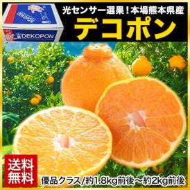 【高品質保証】光センサー選果！ギフトにおすすめ果物！ ポンカン × みかん で生まれた 国産柑橘